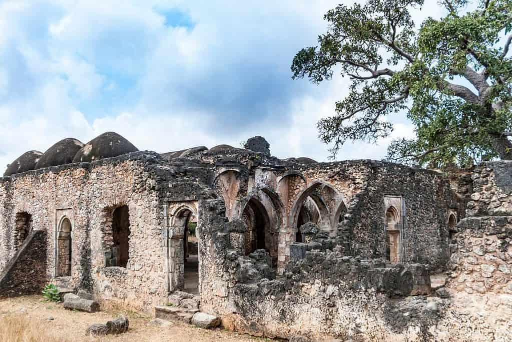 Ruins of Kilwa Kisiwani and Ruins of Songo Mnara UNESCO sites Ruins of Kilwa Kisiwani and Ruins of Songo Mnara