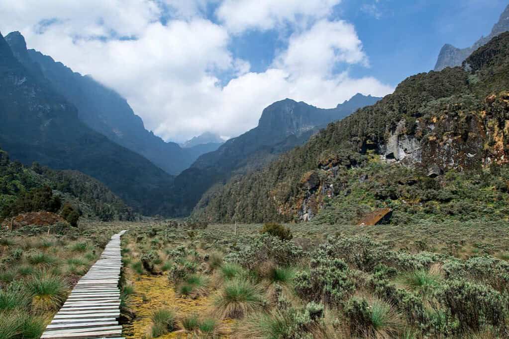 Rwenzori Mountains National Park UNESCO sites Rwenzori Mountains National Park