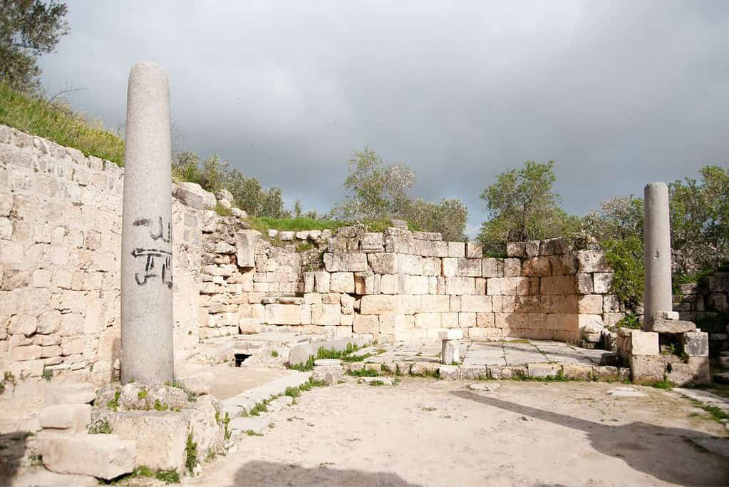 Sebastia 6 Sebastia