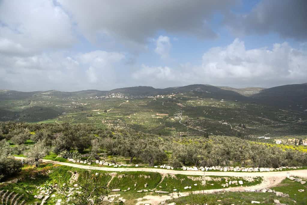 Sebastia Palestine Sebastia Palestine