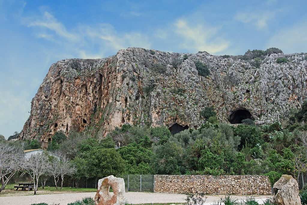 Sites of Human Evolution at Mount Carmel The Nahal Mearot Wadi el Mughara Caves Sites of Human Evolution at Mount Carmel_ The Nahal Me’arot _ Wadi el-Mughara Caves