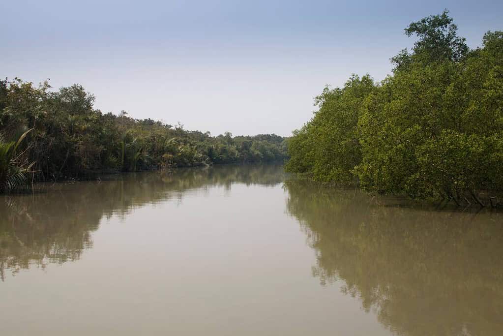 Sundarbans National Park UNESCO sites Sundarbans National Park