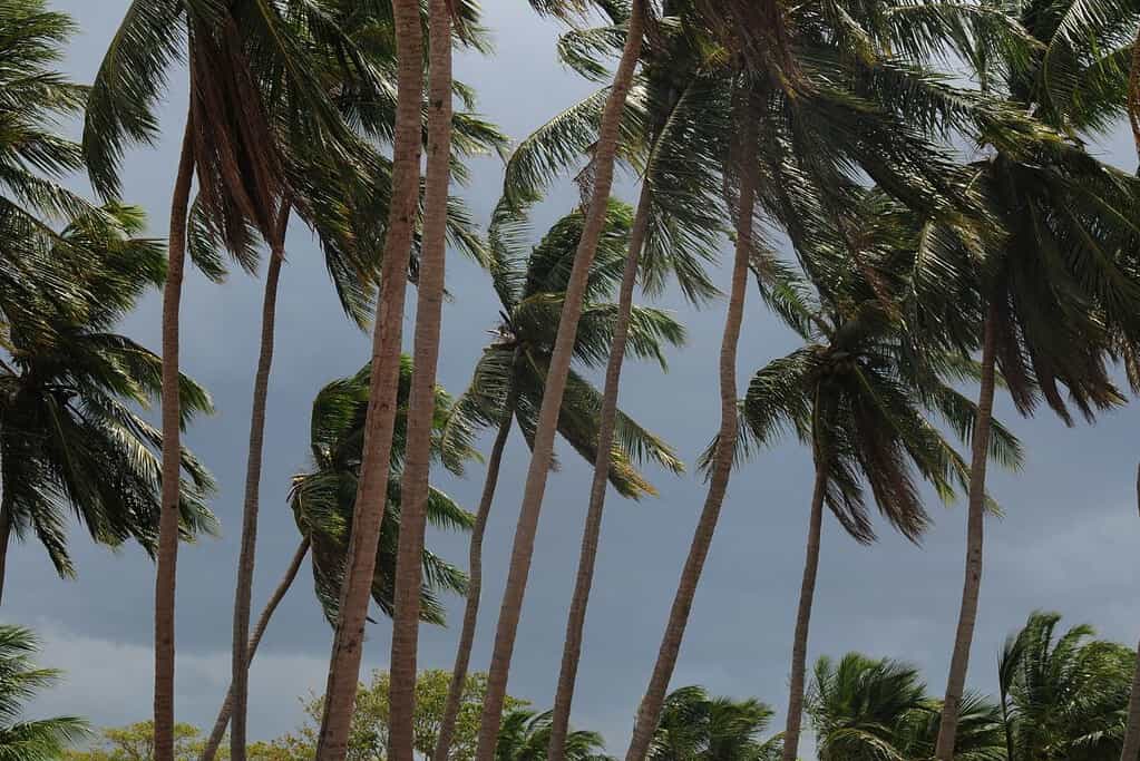 Travel to Arugam Bay Travel to Arugam Bay