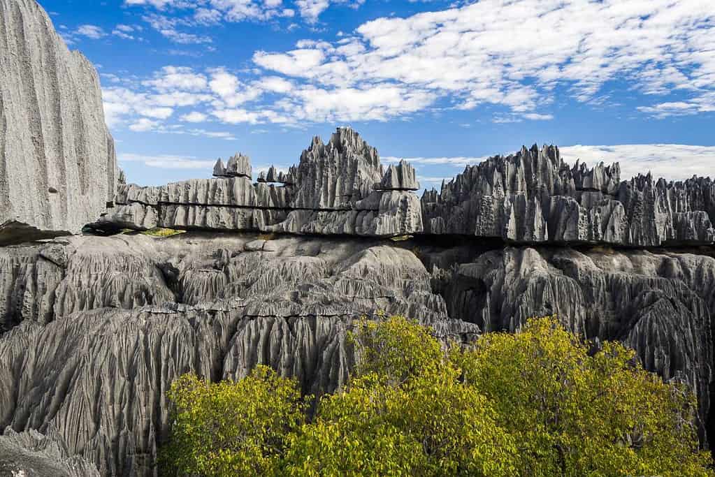 Tsingy de Bemaraha Strict Nature Reserve Tsingy de Bemaraha Strict Nature Reserve