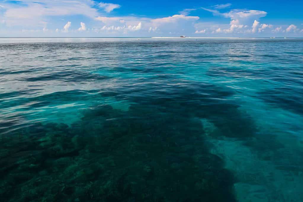 Tubbataha Reefs Natural Park UNESCO sites Tubbataha Reefs Natural Park