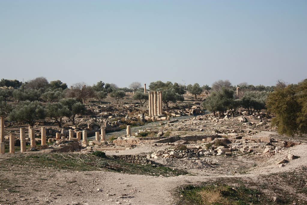 Umm Qais 2 Umm Qais