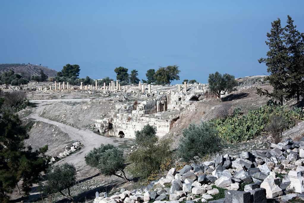 Umm Qais 3 Umm Qais