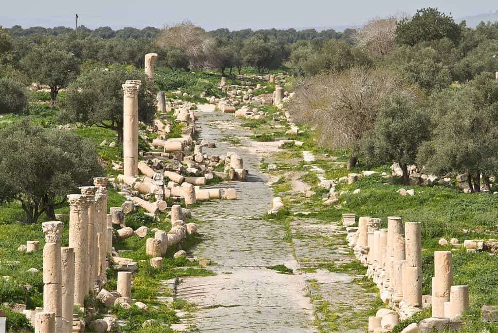 Umm Qais 4 Umm Qais