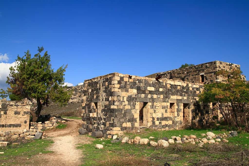 Umm Qais 5 Umm Qais