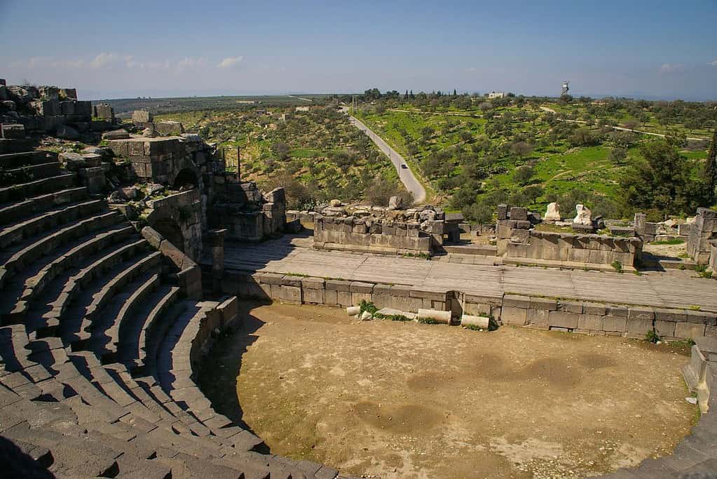 Umm Qais 7 Umm Qais