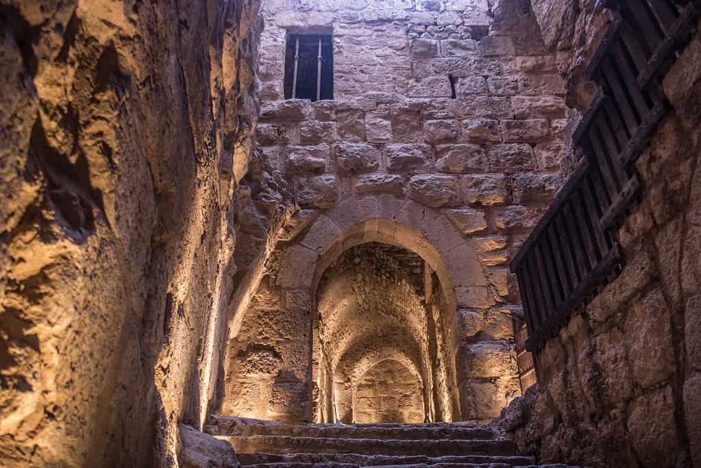 Visit Ajloun Castle Visit Ajloun Castle