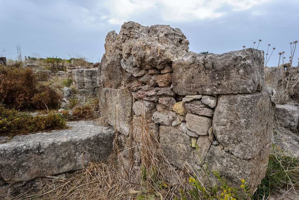 Visit Royal Palace of Ugarit Visit Royal Palace of Ugarit