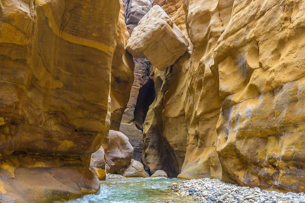 Wadi Mujib 5 Wadi Mujib