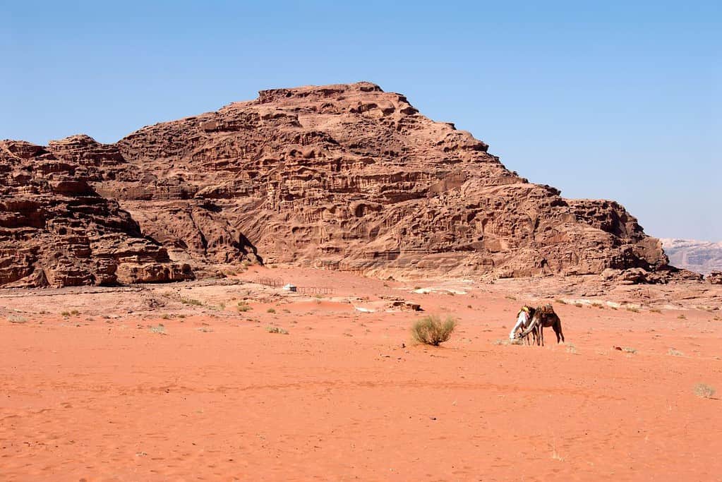 Wadi Rum Wadi Rum