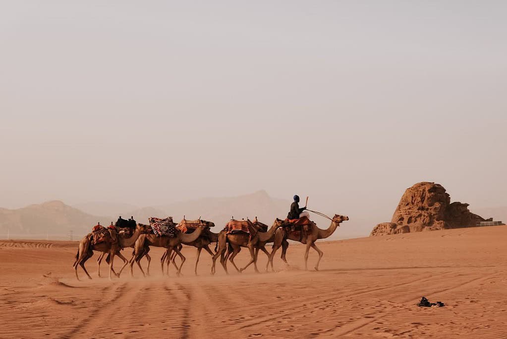 Wadi Rum 7 Wadi Rum