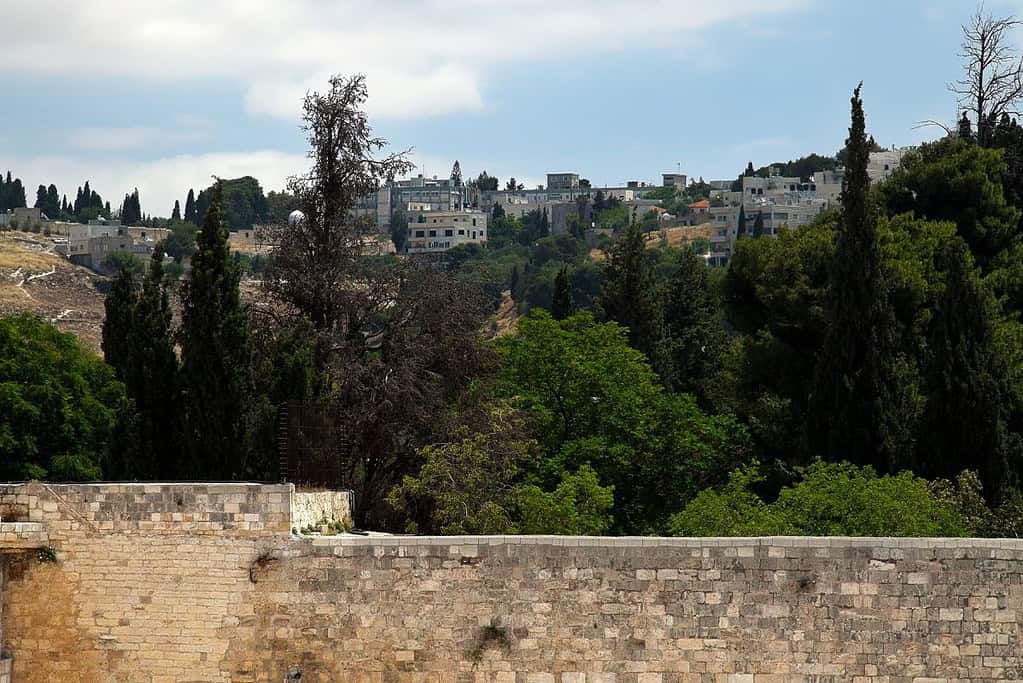 Wailing Wall 7 Wailing Wall