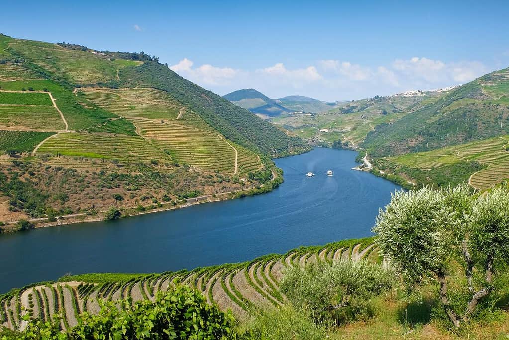Alto Douro Wine Region UNESCO sites Alto Douro Wine Region