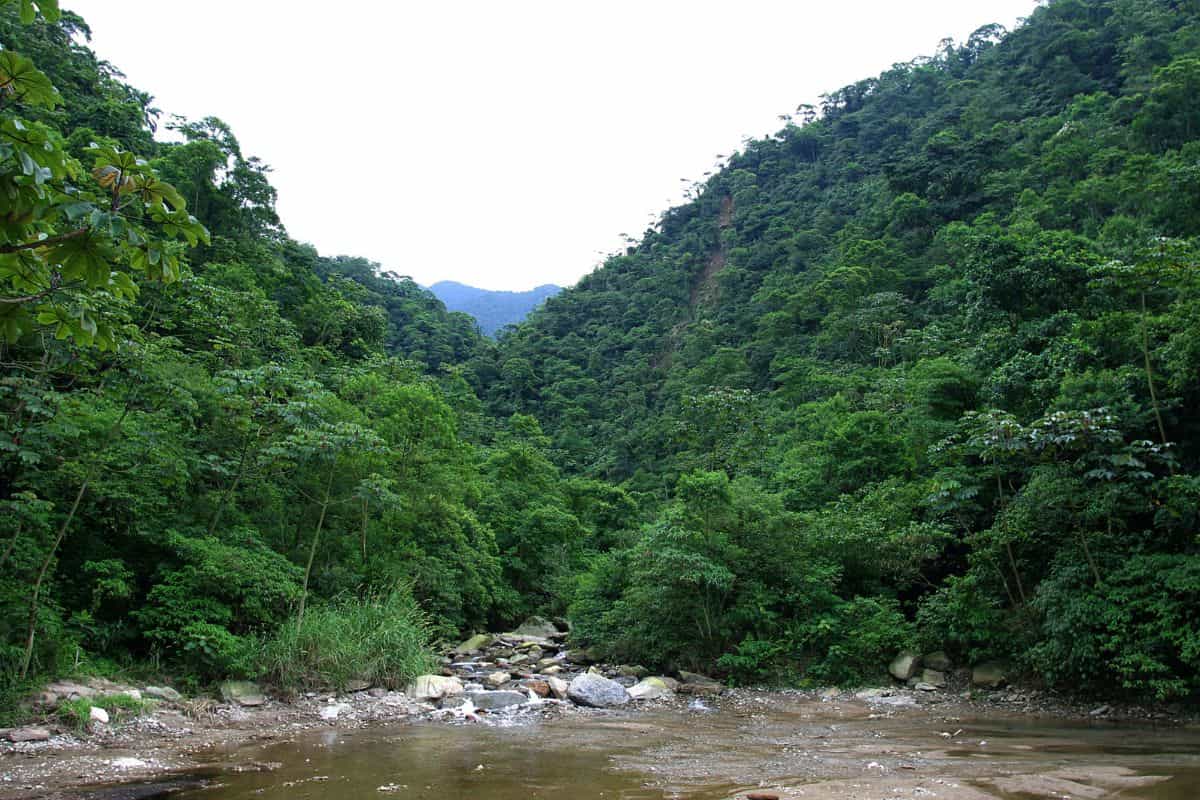 Atlantic Forest South-East Reserves in Brazil