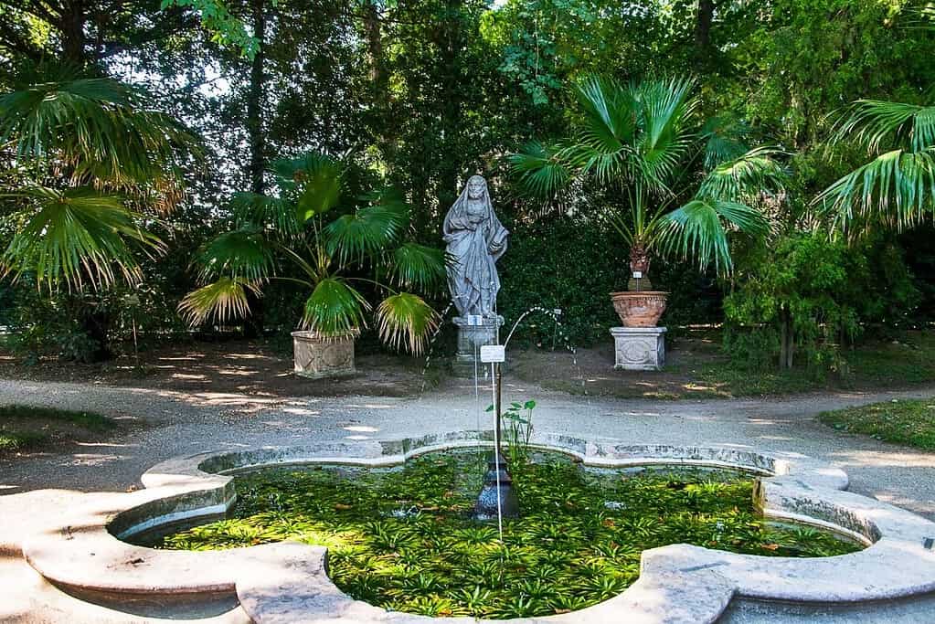 Botanical Garden Orto Botanico Padua UNESCO sites Botanical Garden (Orto Botanico), Padua