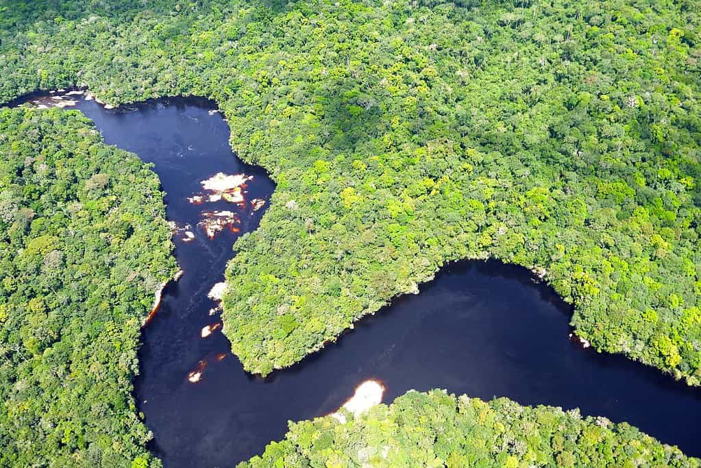Central Amazon Conservation Complex UNESCO sites Central Amazon Conservation Complex