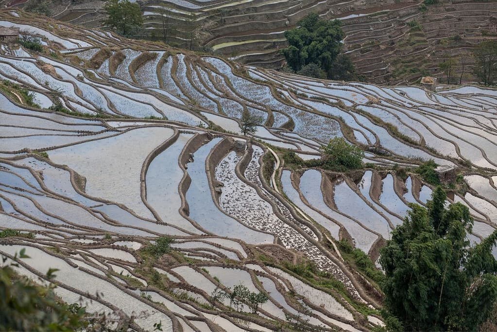 Cultural Landscape of Honghe Hani Rice Terraces UNESCO sites Cultural Landscape of Honghe Hani Rice Terraces