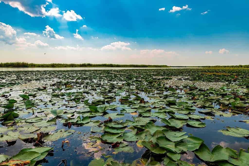Danube Delta UNESCO sites Danube Delta