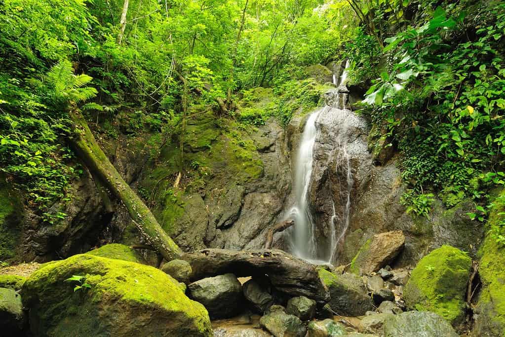 Darien National Park UNESCO sites Darien National Park