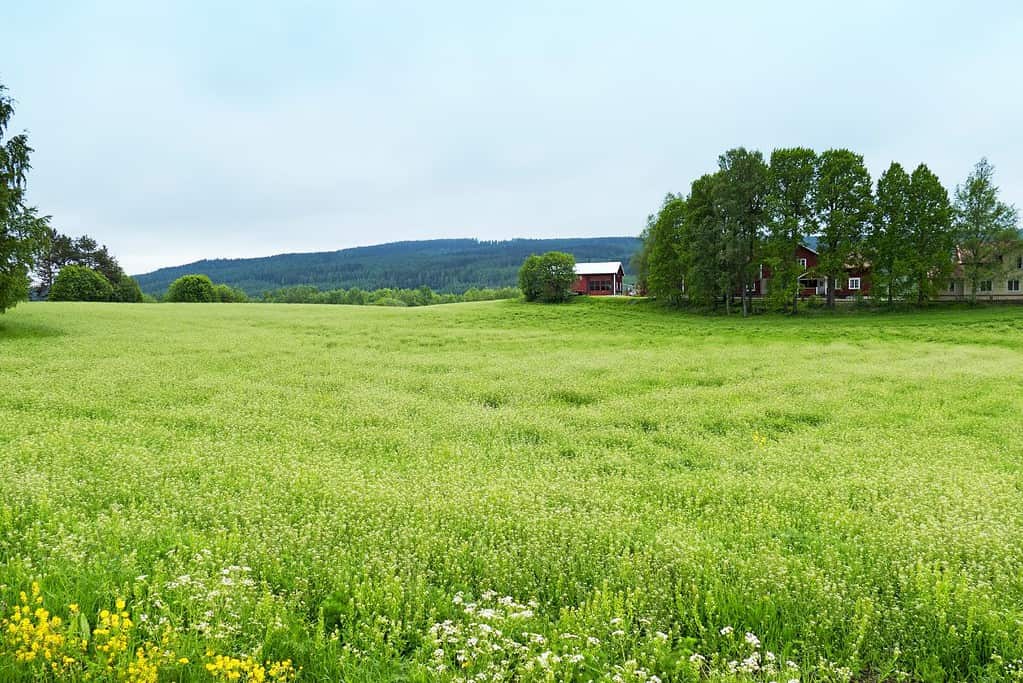 Decorated Farmhouses of Halsingland UNESCO sites Decorated Farmhouses of Hälsingland