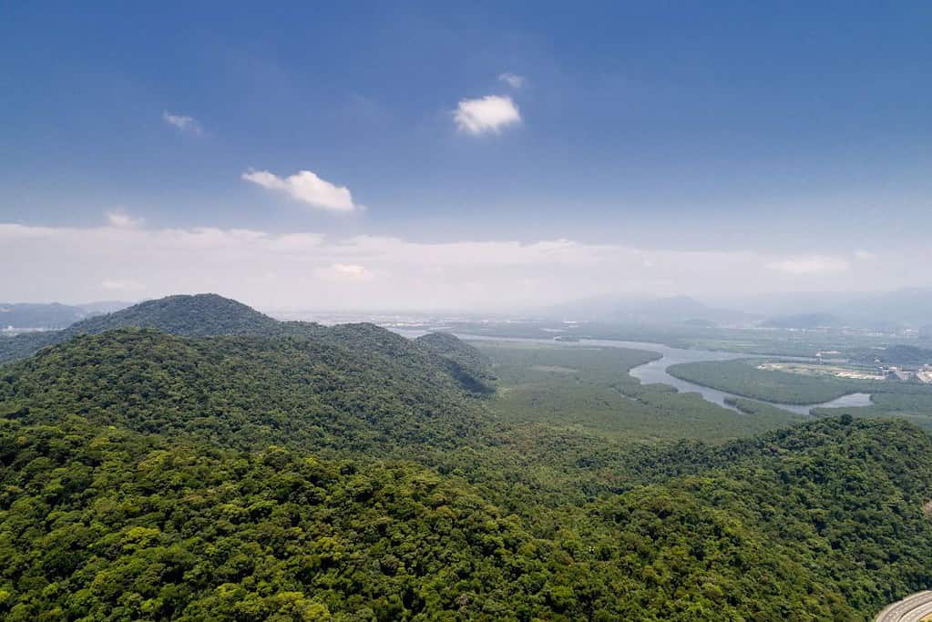 Discovery Coast Atlantic Forest Reserves UNESCO sites Discovery Coast Atlantic Forest Reserves