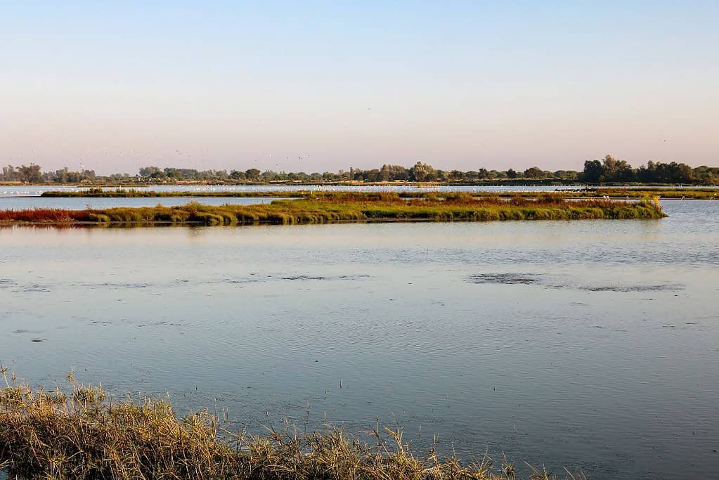 Donana National Park UNESCO sites Doñana National Park