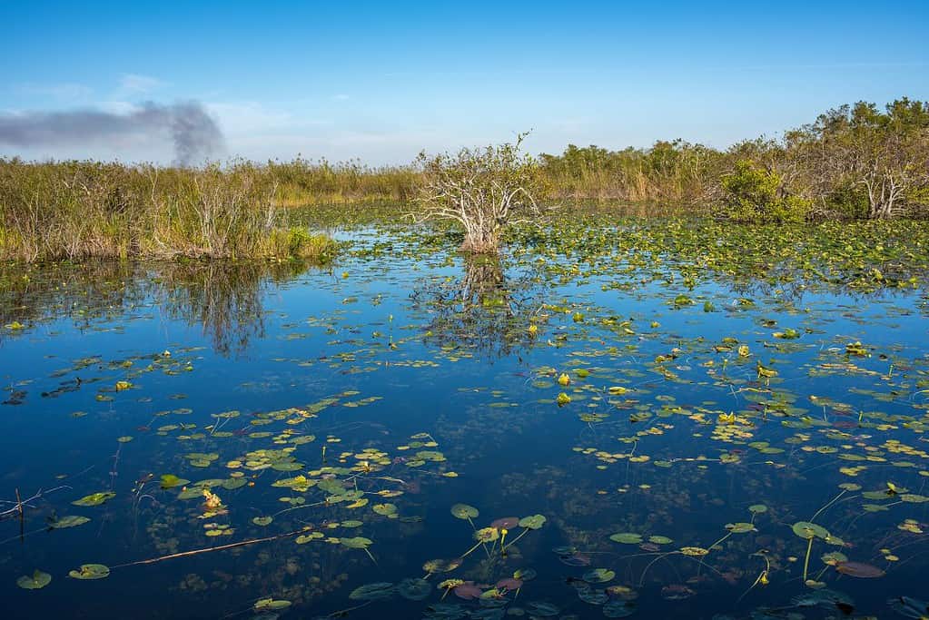 Everglades National Park UNESCO sites Everglades National Park