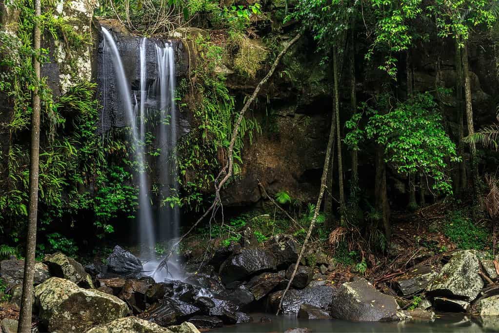 Gondwana Rainforests of Australia UNESCO sites Gondwana Rainforests of Australia