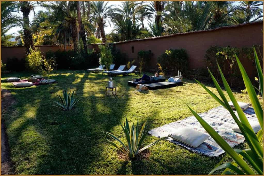 Hara Oasis Lodge 4 Hotels Hara Oasis Lodge