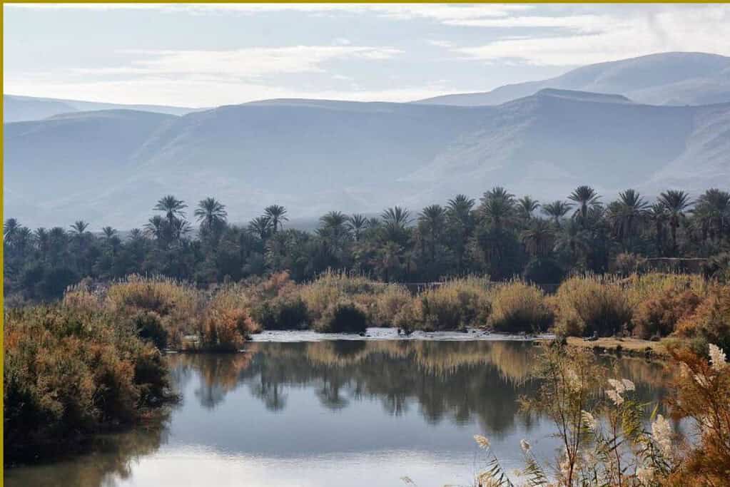 Hara Oasis Lodge 5 Hotels Hara Oasis Lodge