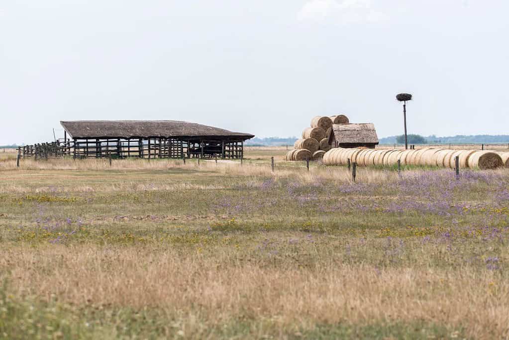 Hortobagy National Park the Puszta UNESCO sites Hortobágy National Park - the Puszta
