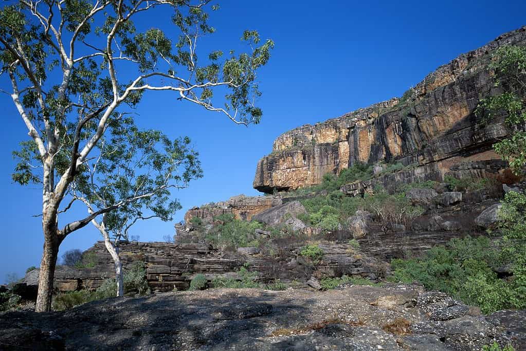 Kakadu National Park UNESCO sites Kakadu National Park