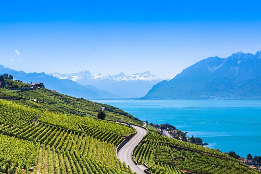 Lavaux Vineyard Terraces UNESCO sites Lavaux, Vineyard Terraces