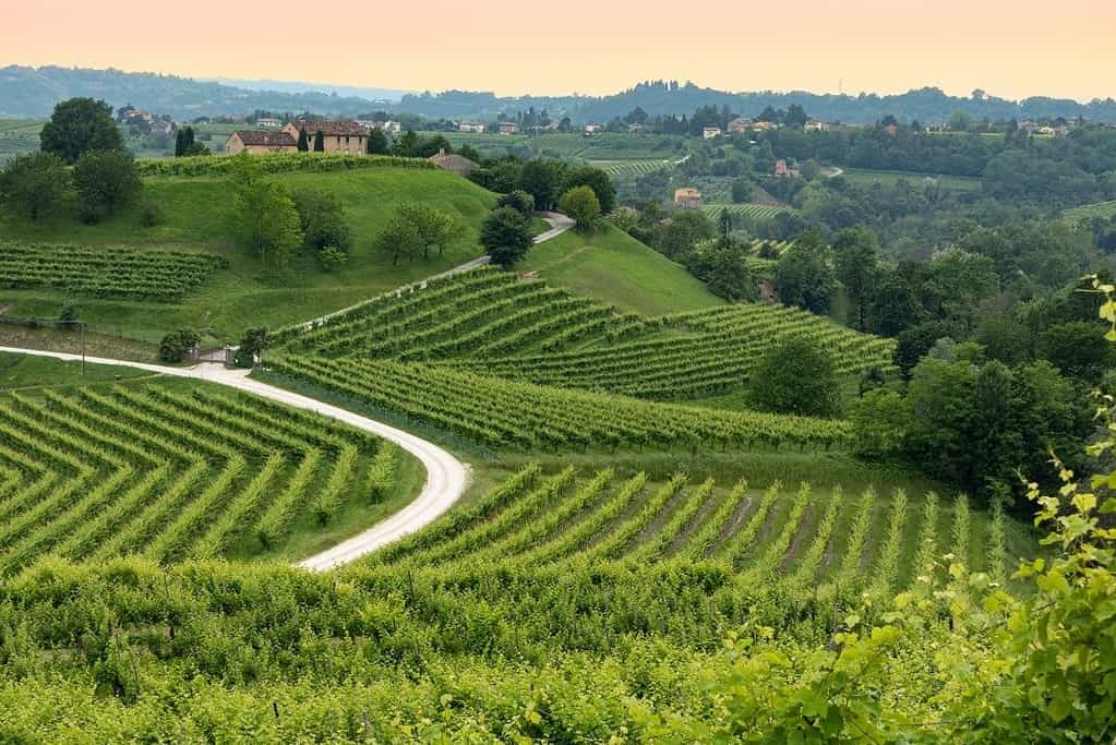 Le Colline del Prosecco di Conegliano e Valdobbiadene UNESCO sites Le Colline del Prosecco di Conegliano e Valdobbiadene