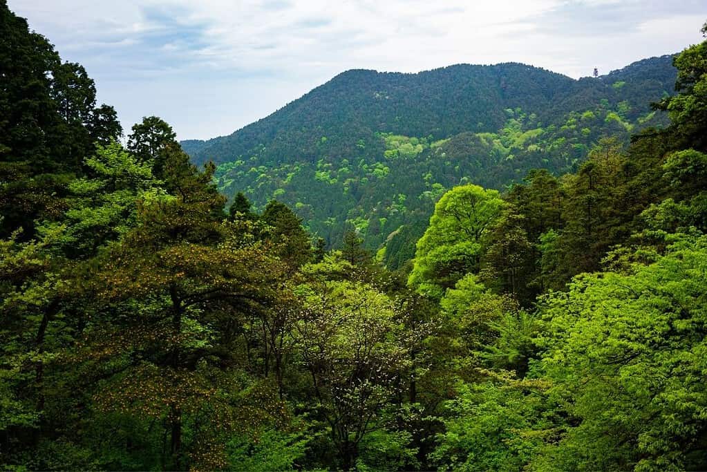 Lushan National Park UNESCO sites Lushan National Park