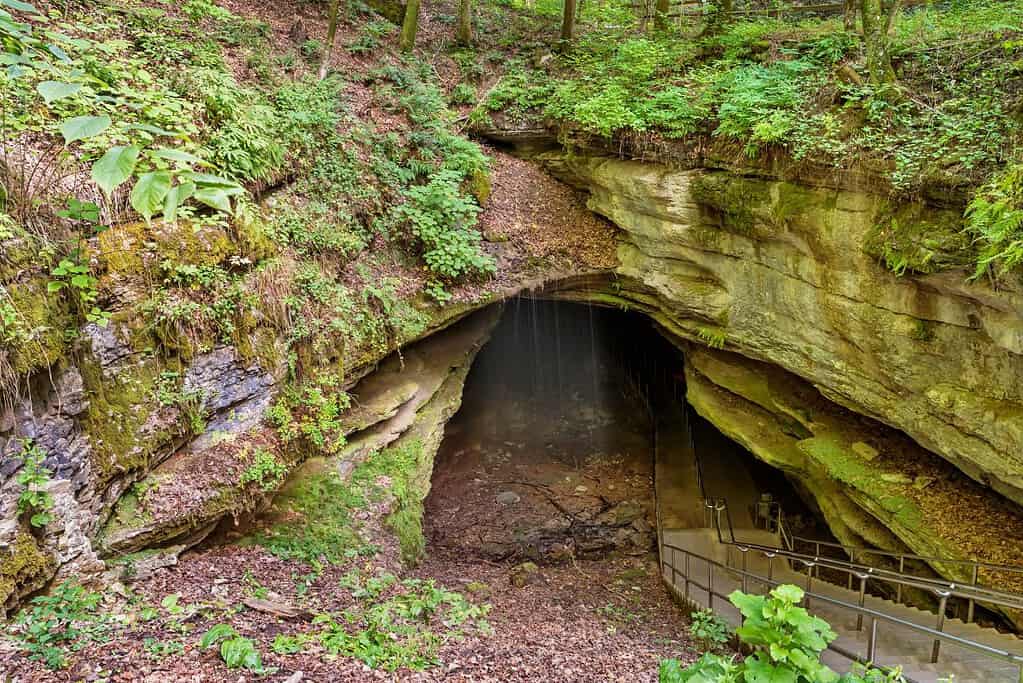 Mammoth Cave National Park UNESCO sites Mammoth Cave National Park