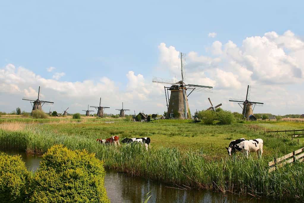 Mill Network at Kinderdijk Elshout UNESCO sites Mill Network at Kinderdijk-Elshout