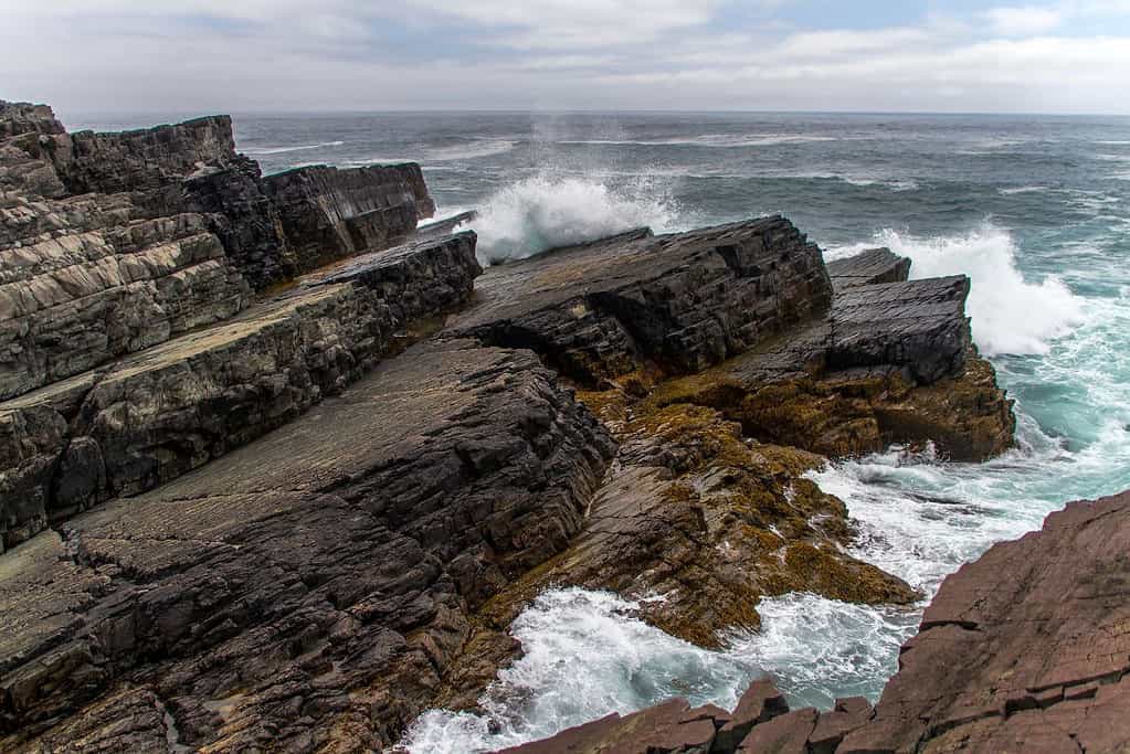 Mistaken Point UNESCO sites Mistaken Point