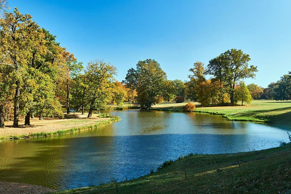 Muskauer Park Park Muzakowski 1 UNESCO sites Muskauer Park / Park Mużakowski