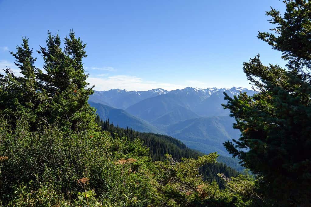 Olympic National Park UNESCO sites Olympic National Park