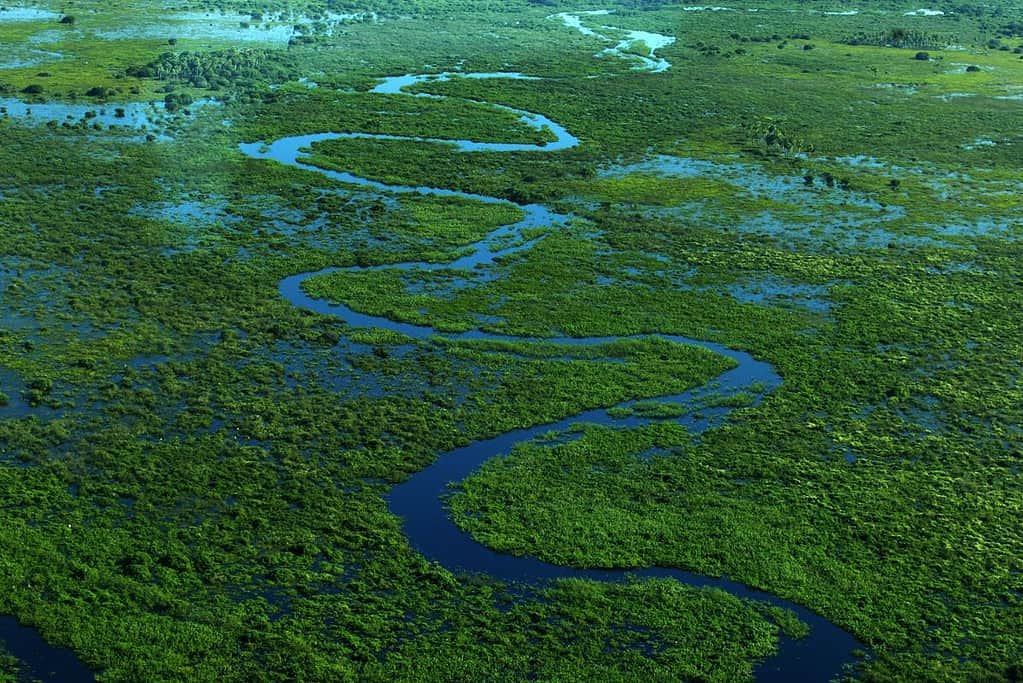 Pantanal Conservation Area UNESCO sites Pantanal Conservation Area
