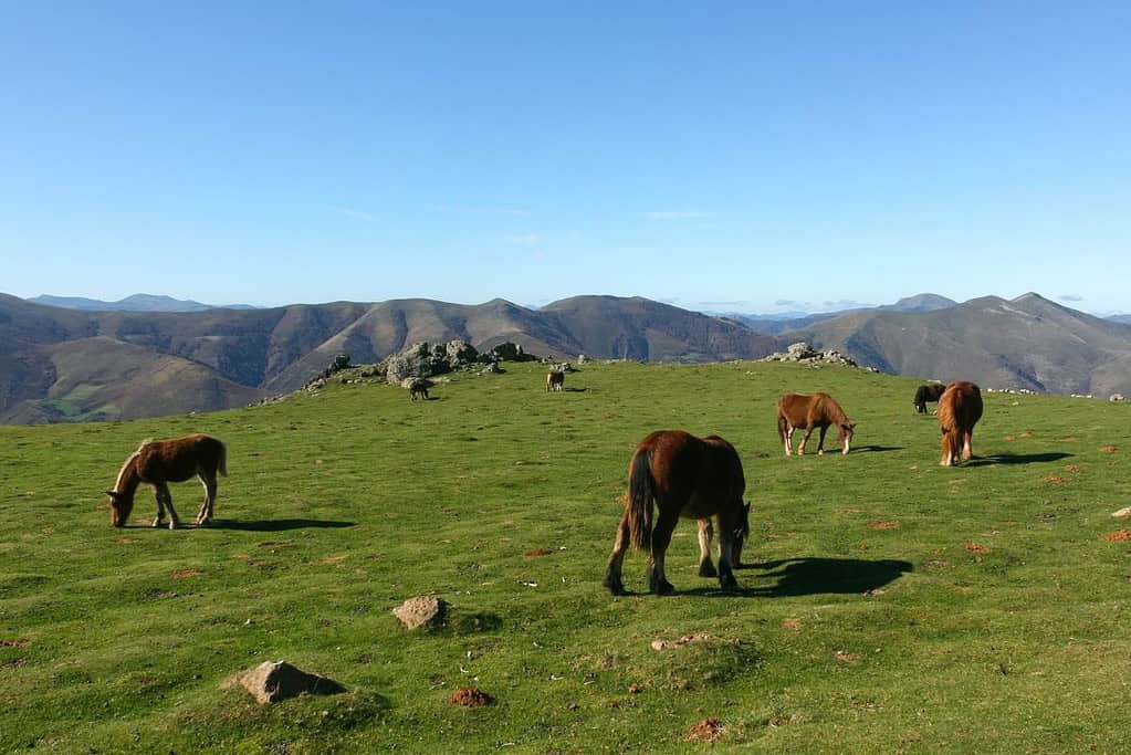 Routes of Santiago de Compostela in France UNESCO sites Routes of Santiago de Compostela in France