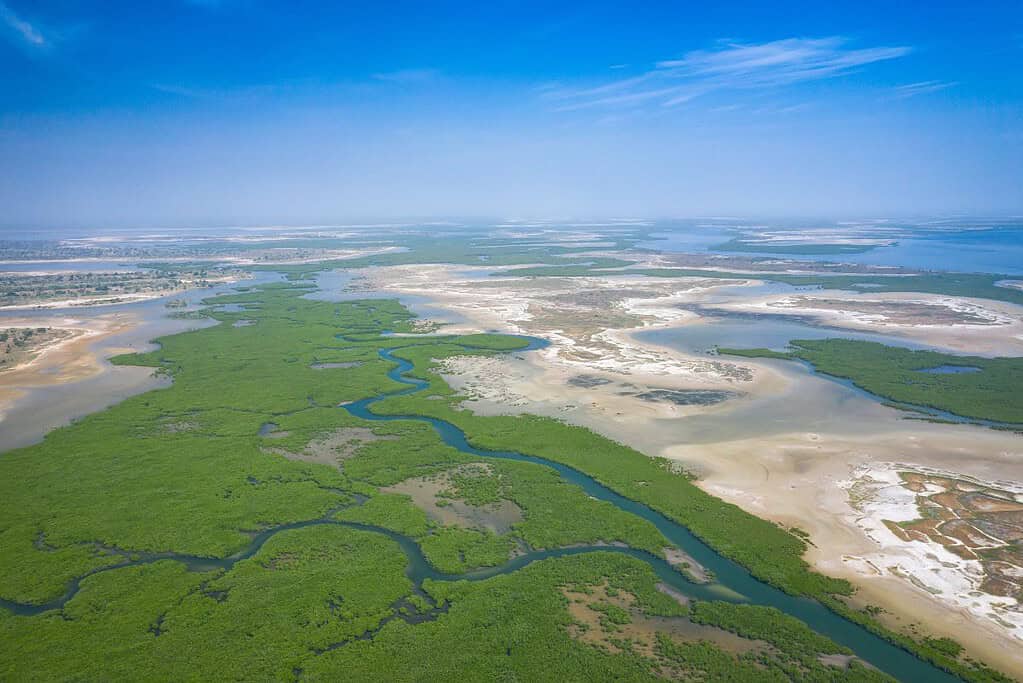 Saloum Delta UNESCO sites Saloum Delta
