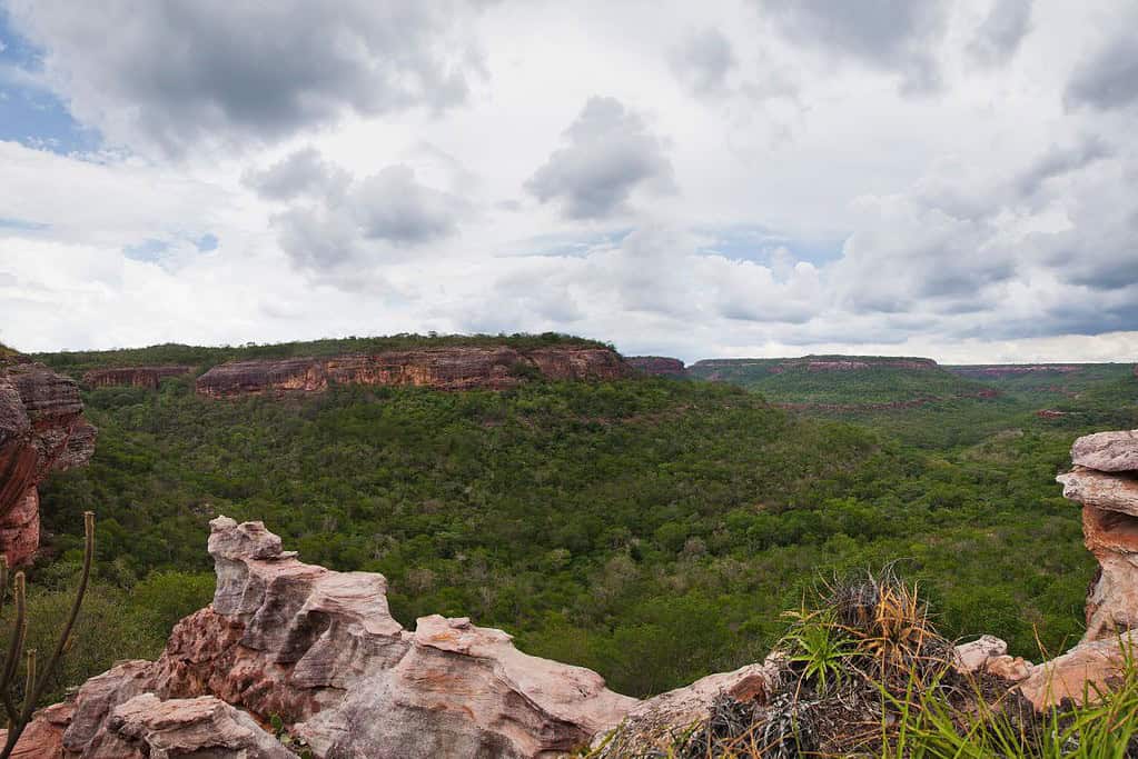 Serra da Capivara National Park UNESCO sites Serra da Capivara National Park