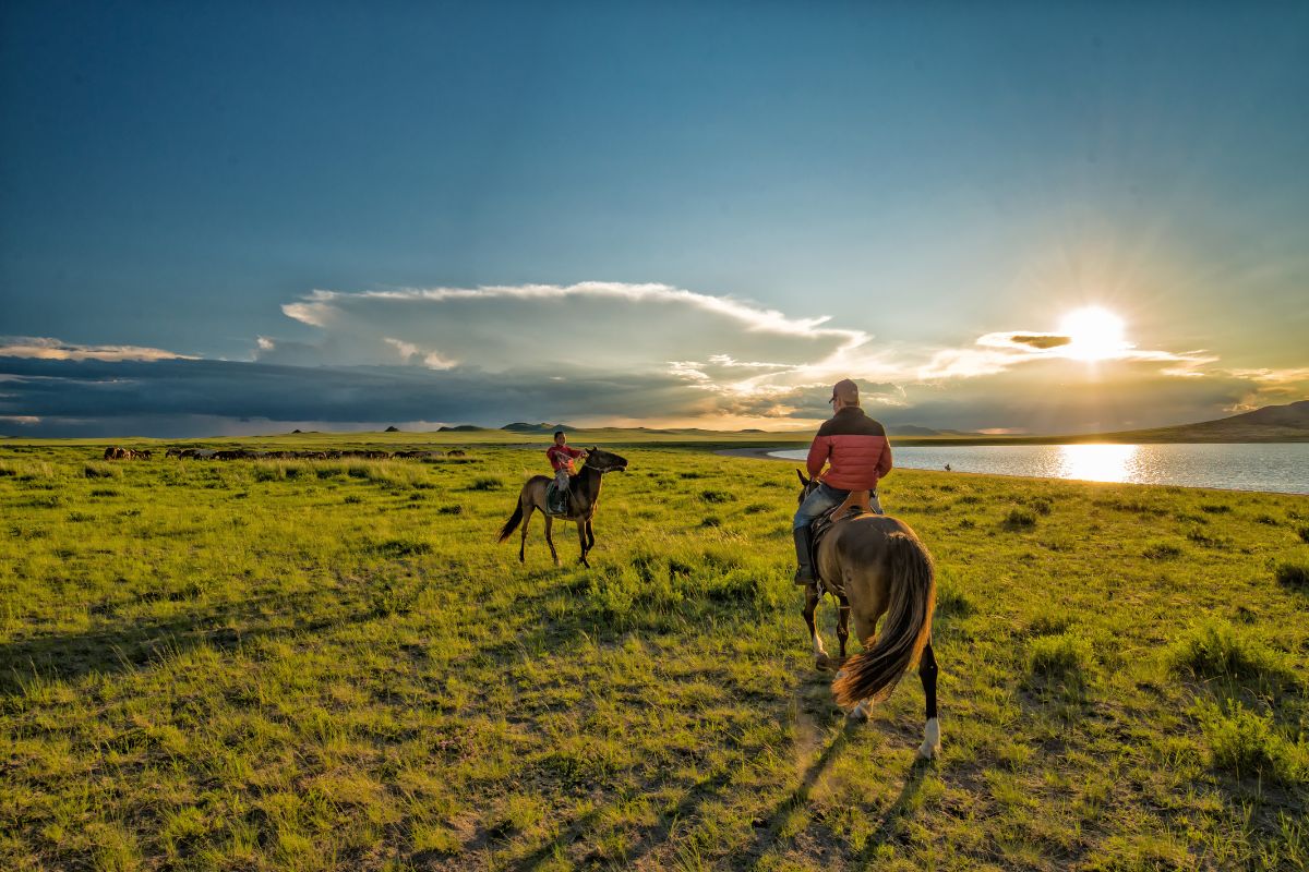 Tours in Mongolia