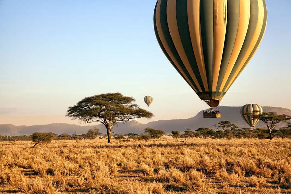 Tours in Tanzania Africa Tours in Tanzania